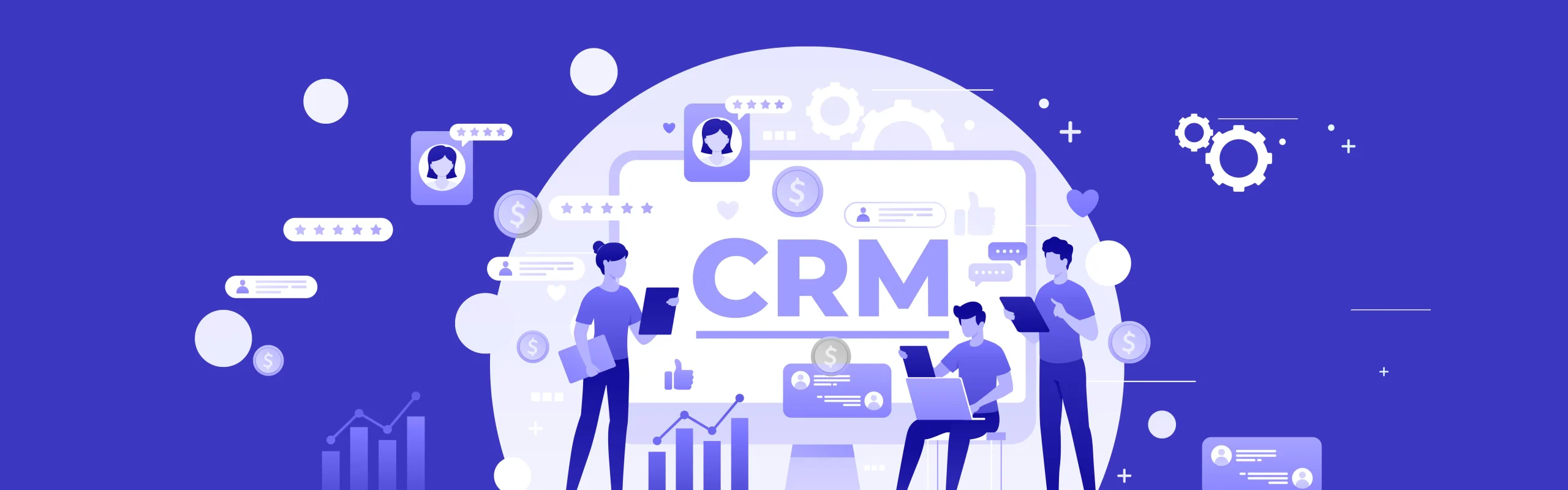 CRM Strategy | What is CRM Strategy? | CRM Strategy Examples